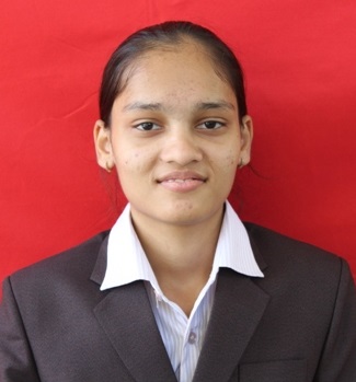 Image Alternative Text.